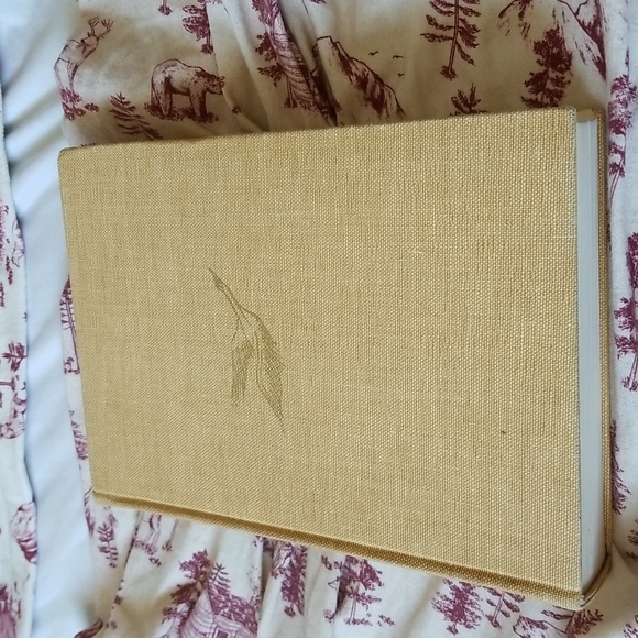 Grimm's Fairy 1 - Picture 2 of 16